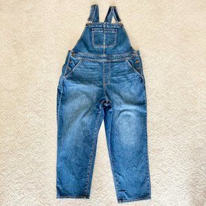 J. Crew Denim Cropped Overalls